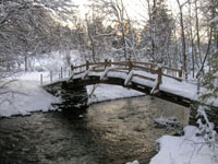 Photos from Valley Forge Park